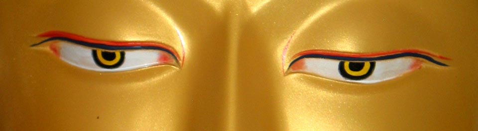 Tsoknyi Rinpoche’s Dharma Lineage