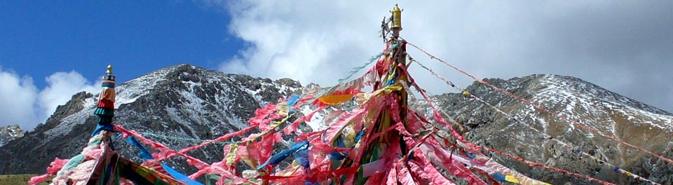 Western Dharma Teachers’ Appreciation For Rinpoche