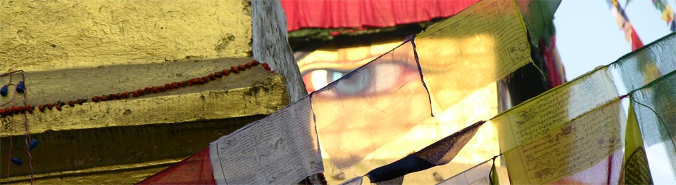 A Very Human Condition (Part 2 of 2)