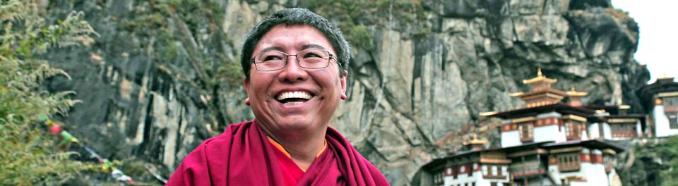 About Tsoknyi Rinpoche