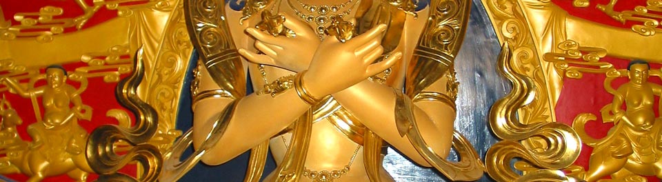 Tsoknyi Rinpoche