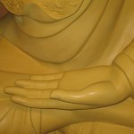 ReevesBuddhaX